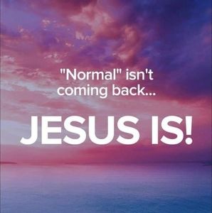 Meet your Posher, Leeann